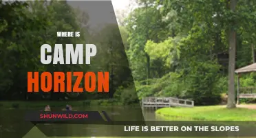Exploring the Enchanting Wilderness of Camp Horizon: A Journey Guide
