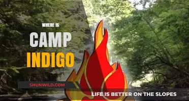 Unveiling the Mystery: Where is Camp Indigo Located?