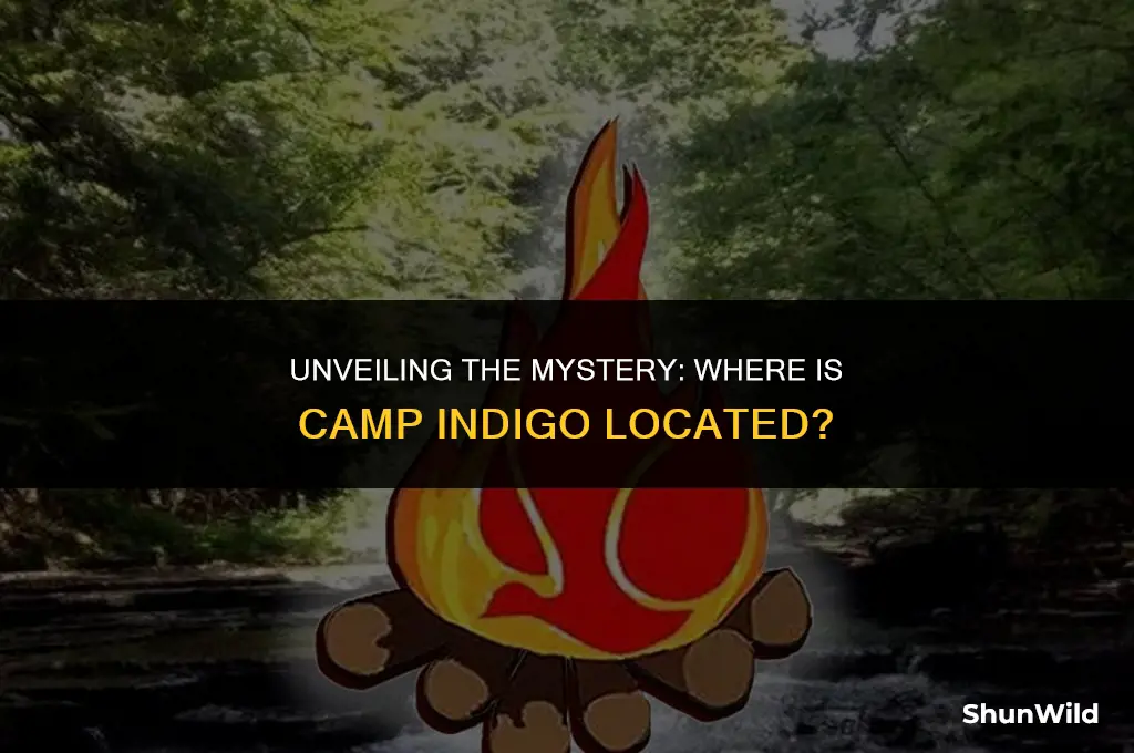 where is camp indigo