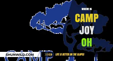 Discovering Camp Joy: A Journey to Ohio's Hidden Gem