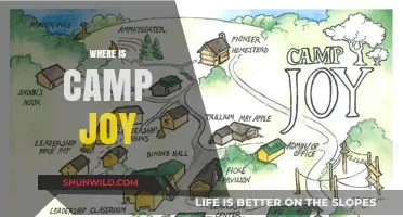 Discovering Camp Joy: A Journey to Happiness and Adventure