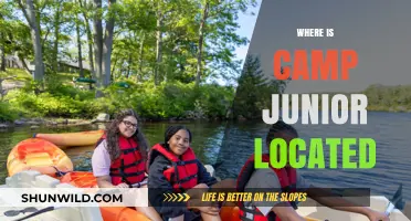 Exploring the Hidden Gem: Camp Junior's Secretive Location Unveiled