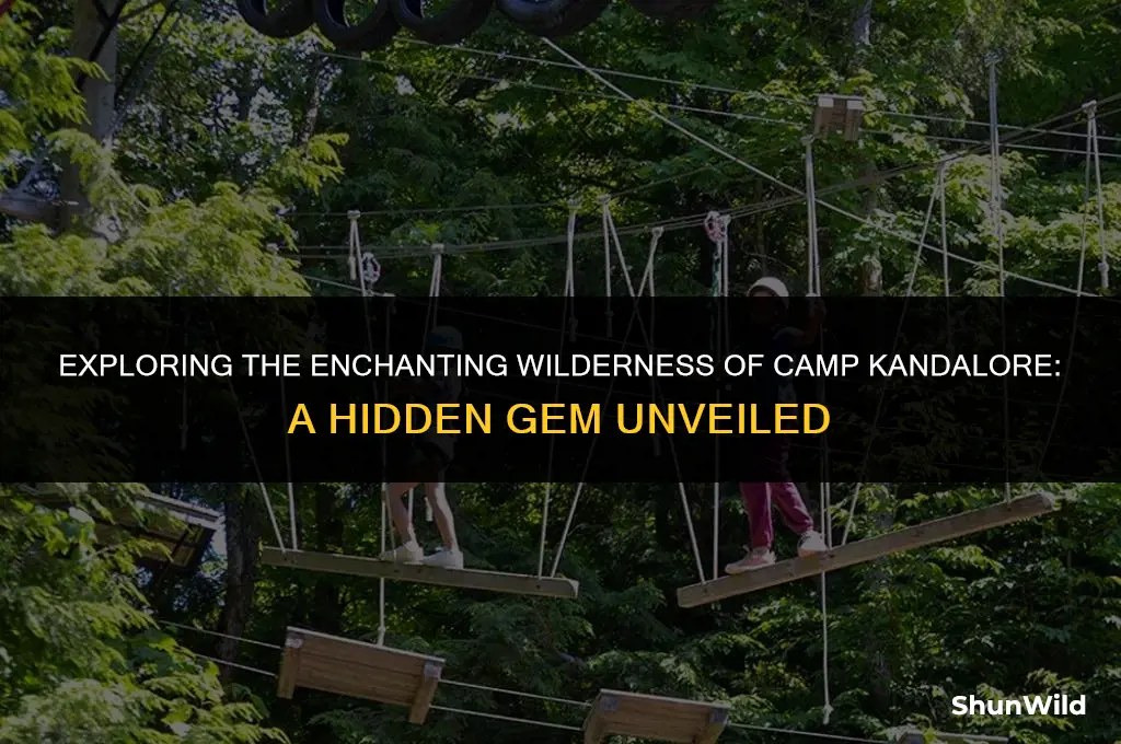 where is camp kandalore