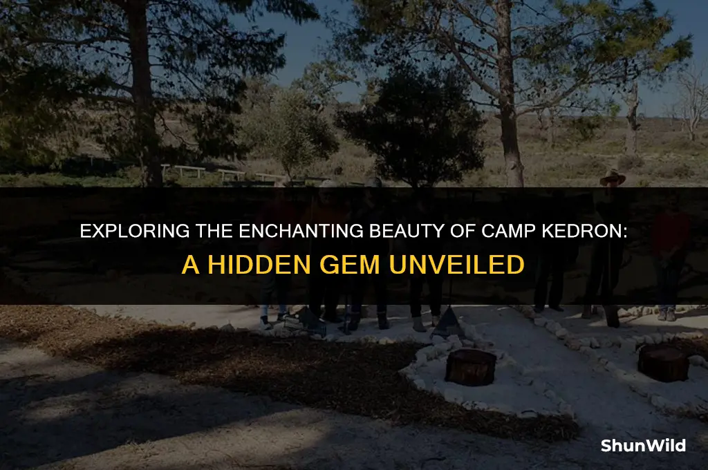 where is camp kedron