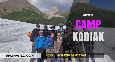 Exploring the Wilderness: Unveiling the Mystery of Camp Kodiak's Location