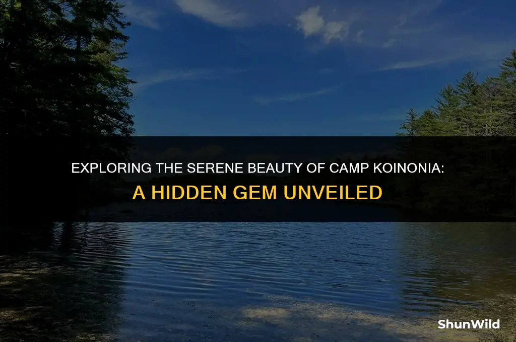 where is camp koinonia