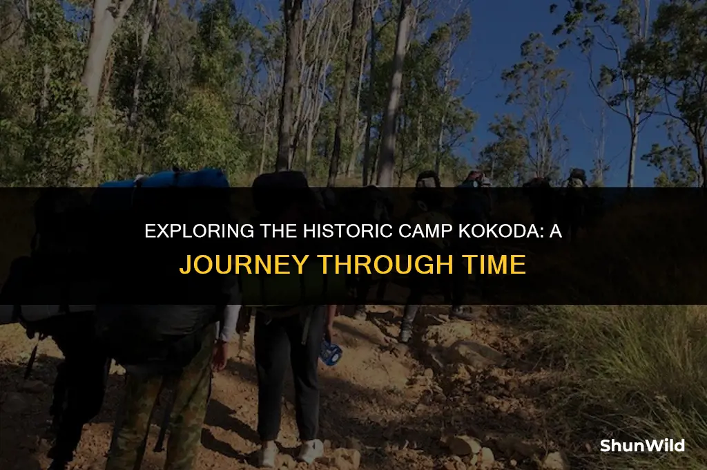 where is camp kokoda