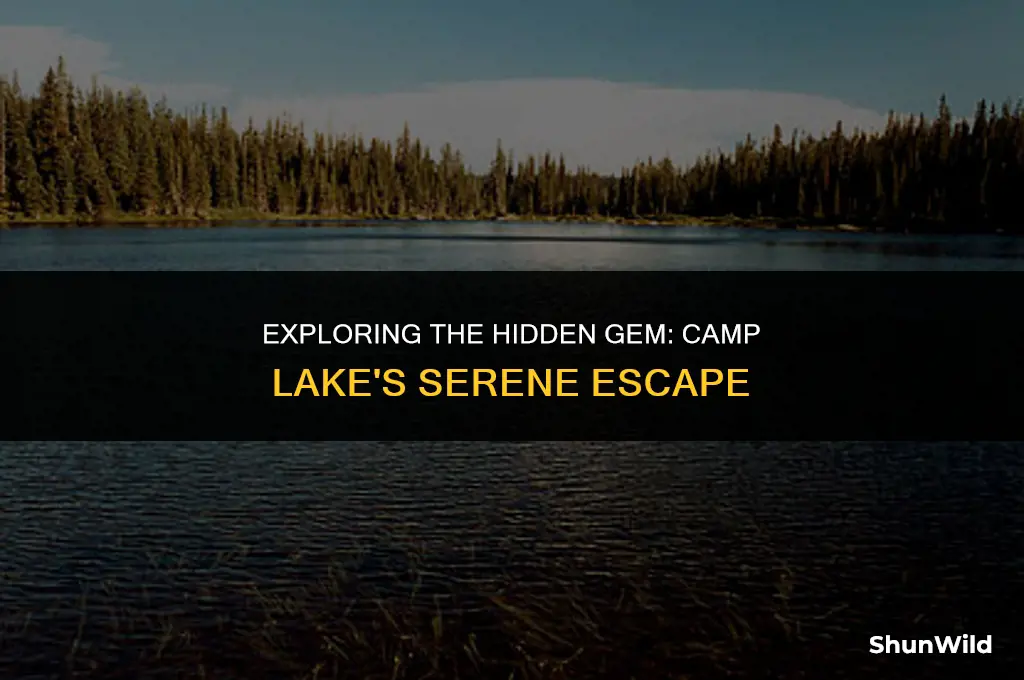 where is camp lake