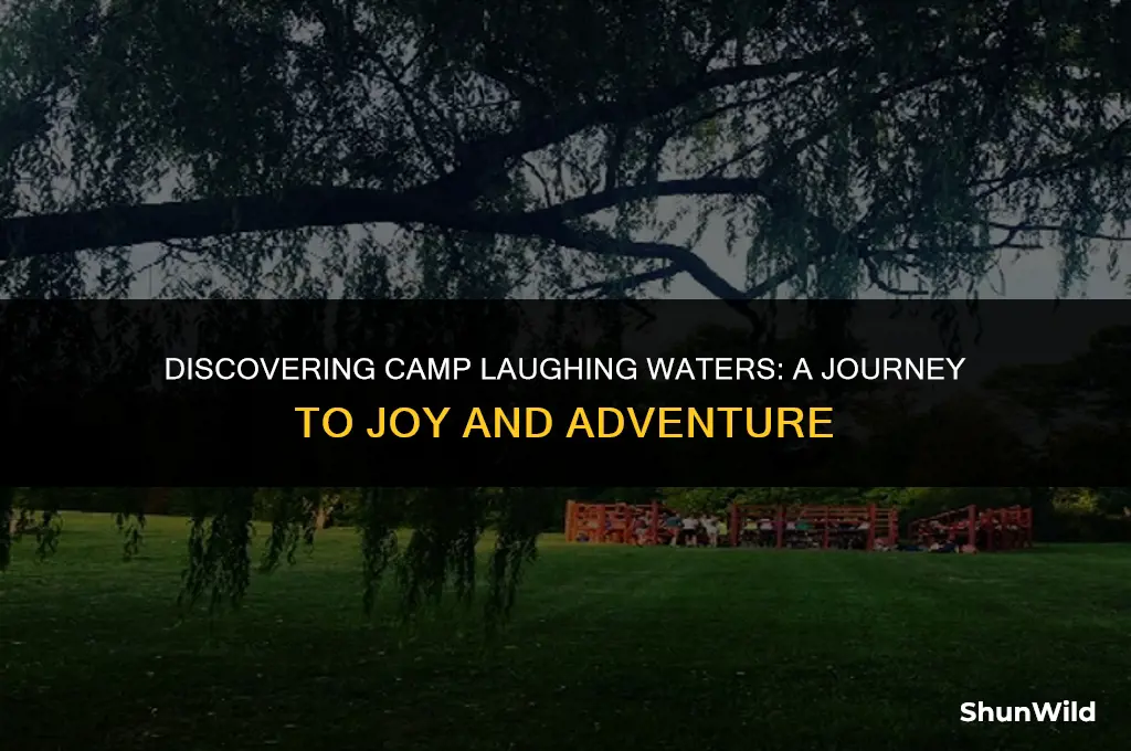 where is camp laughing waters