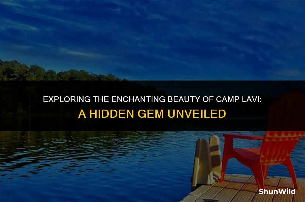 where is camp lavi