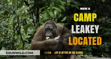 Exploring the Legendary Camp Leakey: A Journey into Primate Research