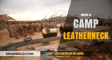 Unveiling Camp Leatherneck: A Journey to Afghanistan's Military Heartland
