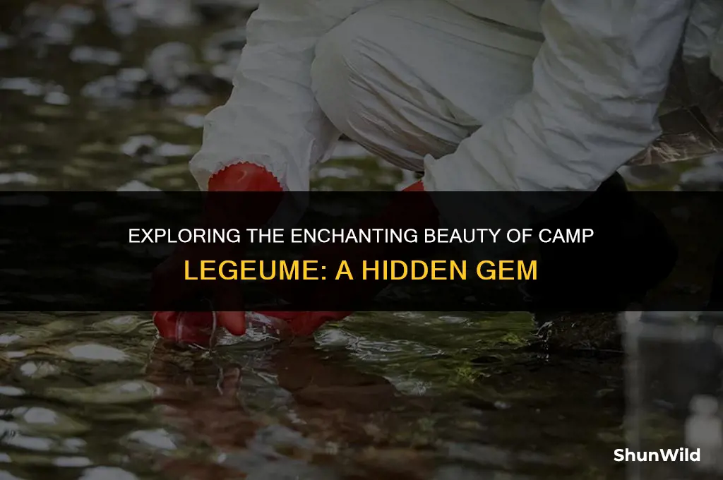 where is camp legeume
