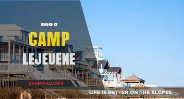 Unveiling the Hidden Gem: Camp Lejeune's Serene Escape