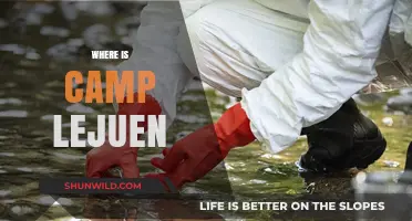 Exploring the Historic Camp Lejeune: A Marine Corps Legacy
