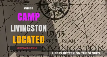 Unveiling the Whereabouts of Camp Livingston: A Comprehensive Guide