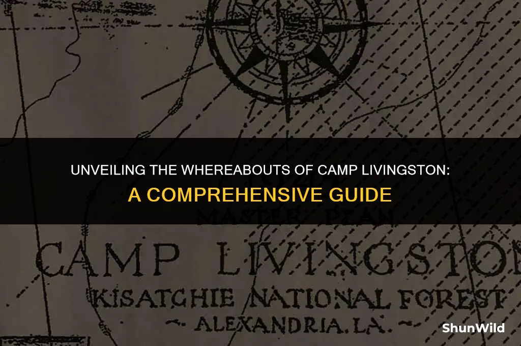 where is camp livingston located