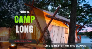 Exploring the Enigmatic Location of Camp Long: A Journey Unveiled