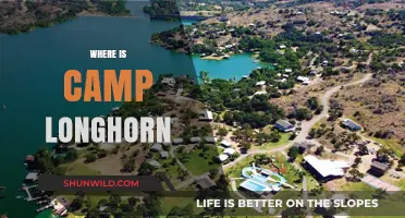 Exploring the Hidden Gem: Camp Longhorn's Secret Location Revealed