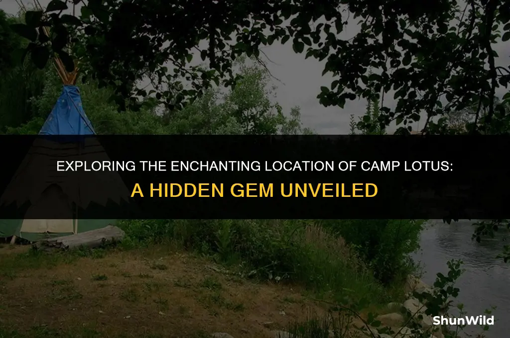where is camp lotus