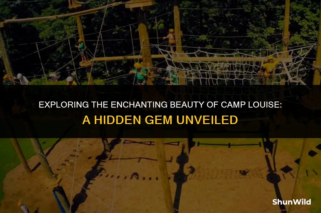 where is camp louise