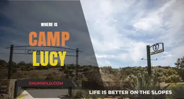Exploring the Enchanting Wilderness of Camp Lucy: A Hidden Gem Unveiled