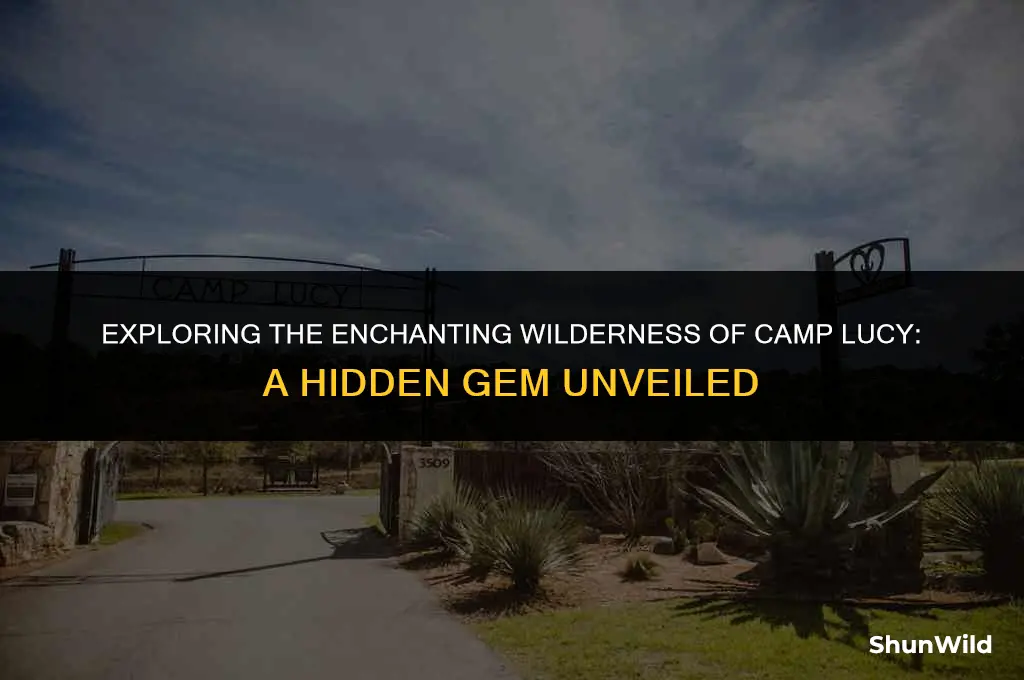 where is camp lucy