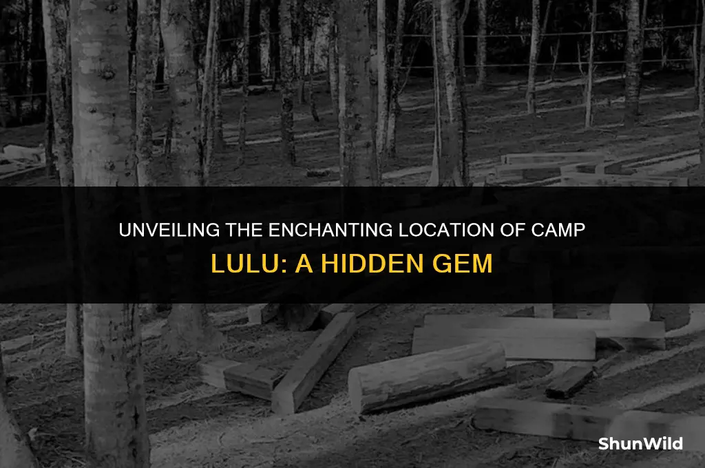 where is camp lulu