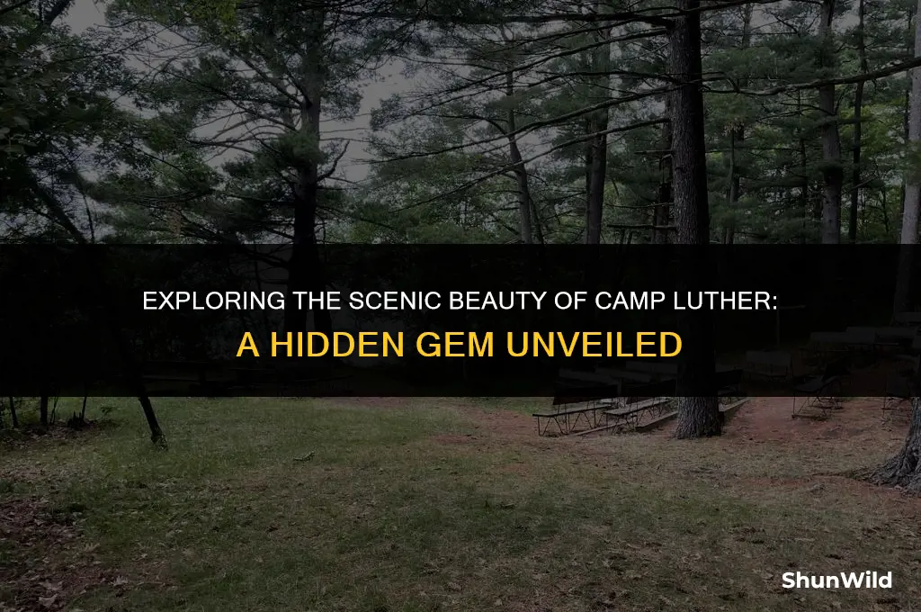 where is camp luther