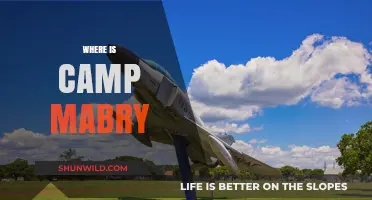 Exploring the Historic Camp Mabry: A Journey Through Time and Terrain