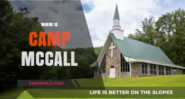 Unveiling the Mystery: Where is Camp McCall Located?