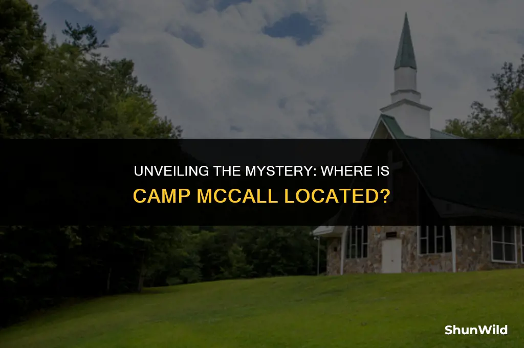 where is camp mccall