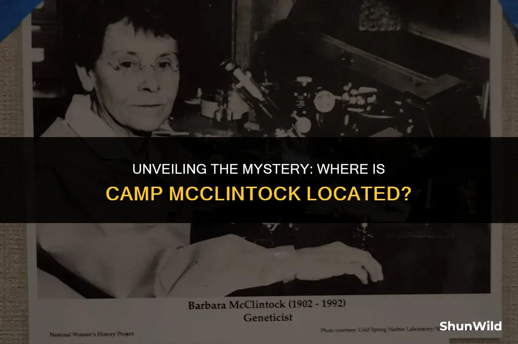 where is camp mcclintock