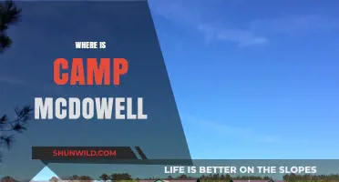 Exploring the Hidden Gem: Camp McDowell's Serene Escape