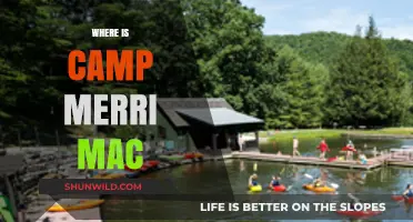 Discovering Camp Merri-Mac: A Journey to the Heart of Summer Fun