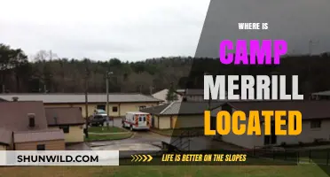 Exploring the Hidden Gem: Camp Merrill's Surprising Location Revealed