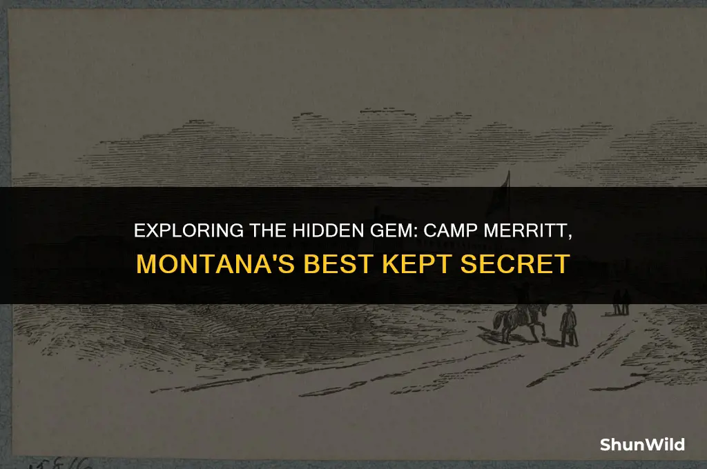 where is camp merrit montana