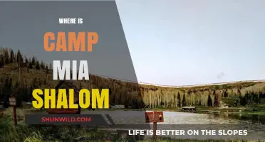Discovering Camp Mia Shalom: A Journey to Jewish Summer Fun