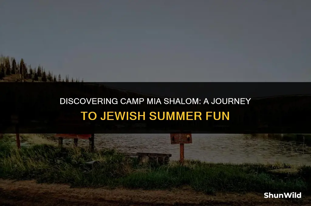 where is camp mia shalom