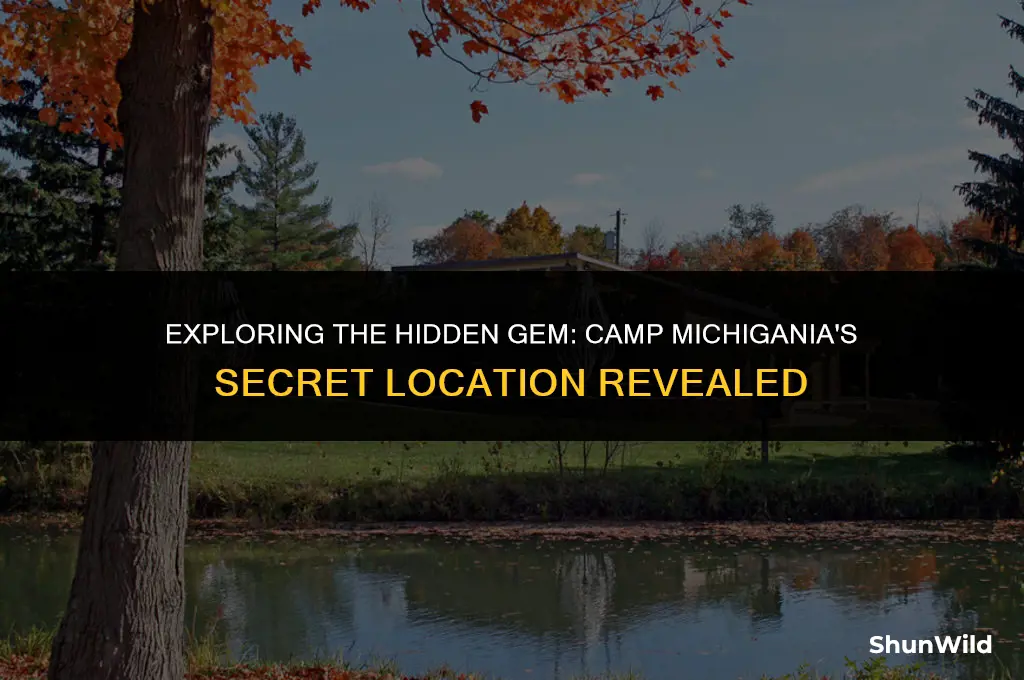 where is camp michigania