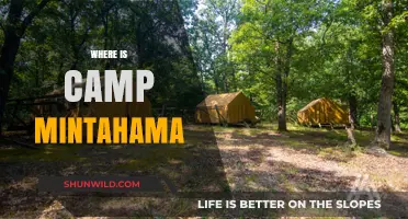 Exploring the Enchanting Wilderness of Camp Mintahama: A Hidden Gem