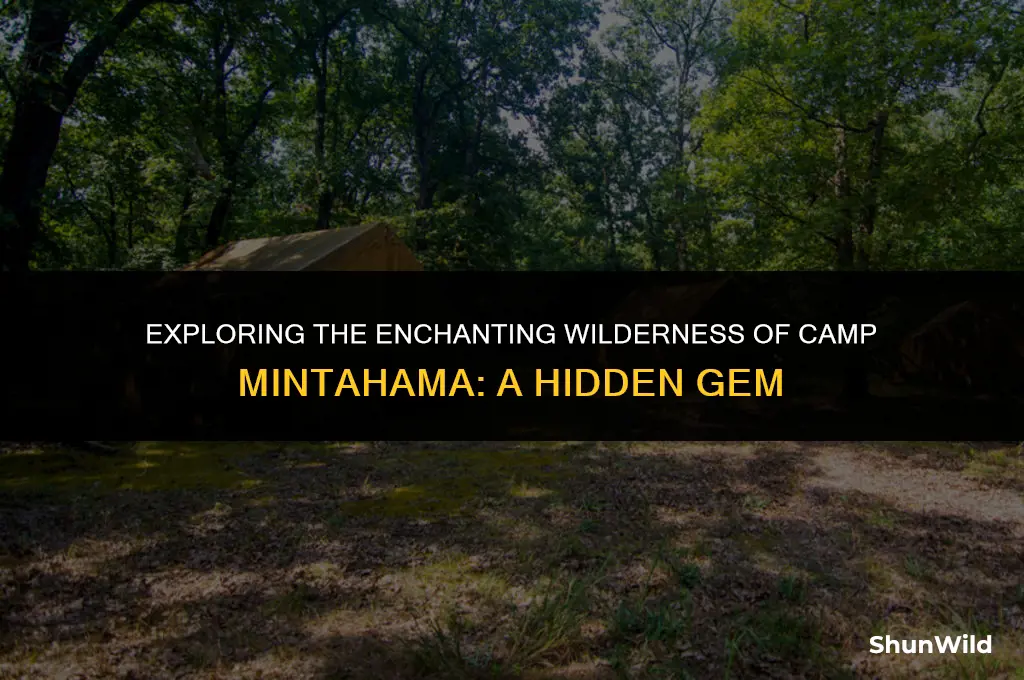 where is camp mintahama