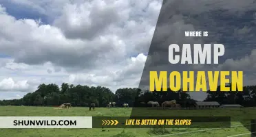 Exploring the Mythical Camp Mohaven: Where Legends Come to Life