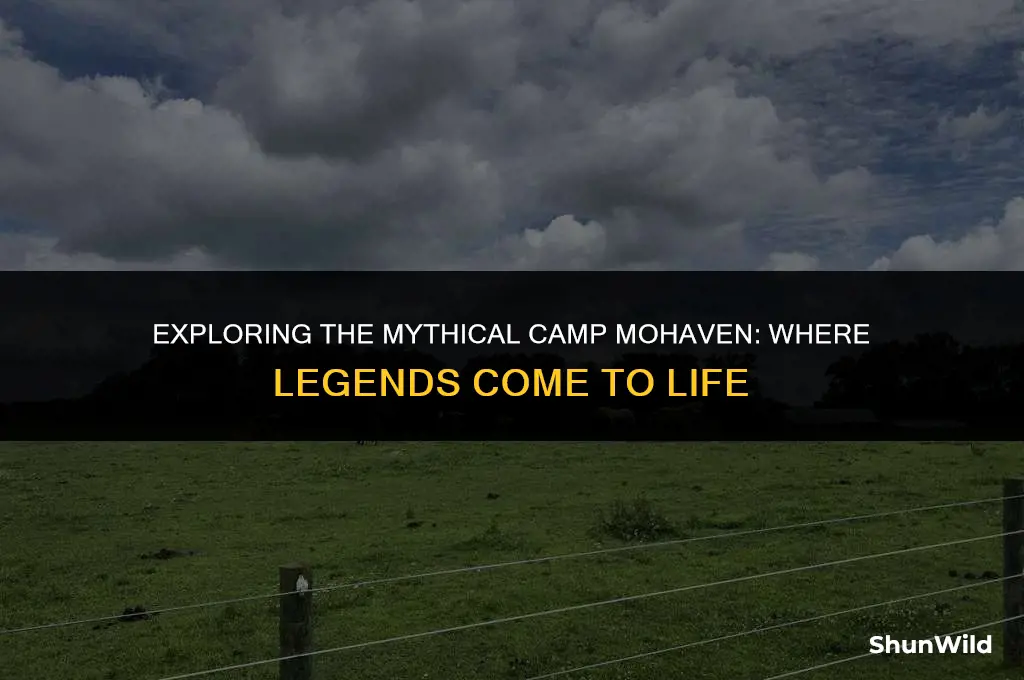 where is camp mohaven