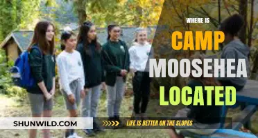 Exploring the Great Outdoors: A Guide to Camp Moosehead's Location