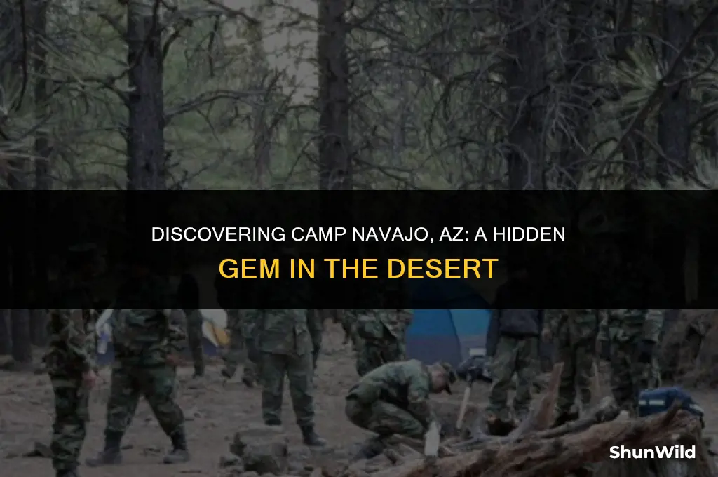 where is camp navajo az