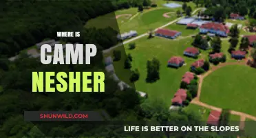 Exploring the Hidden Gem: Camp Nesher's Secret Location Revealed