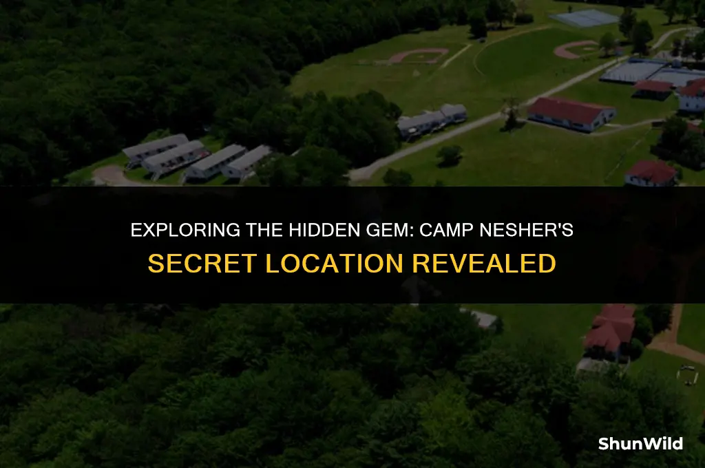 where is camp nesher