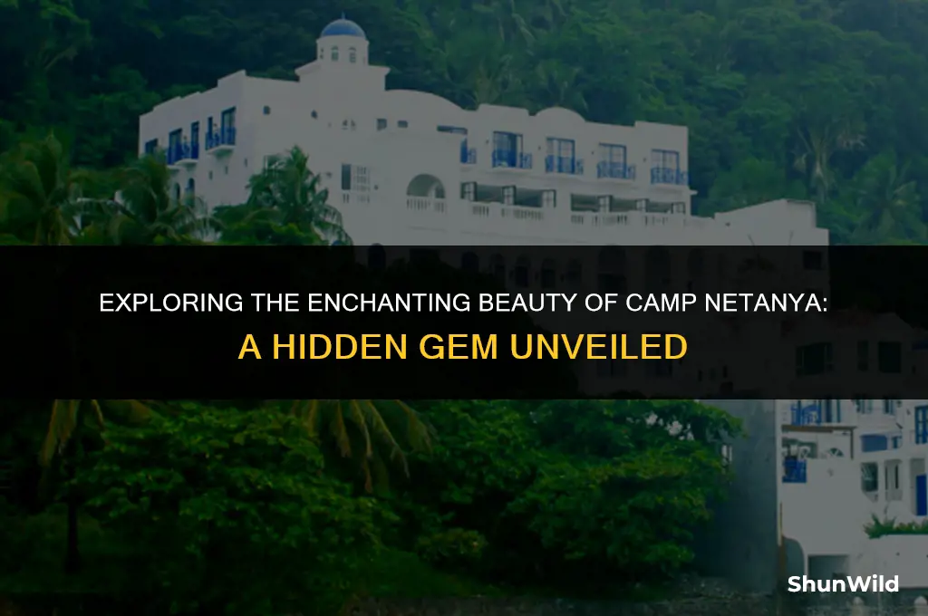 where is camp netanya