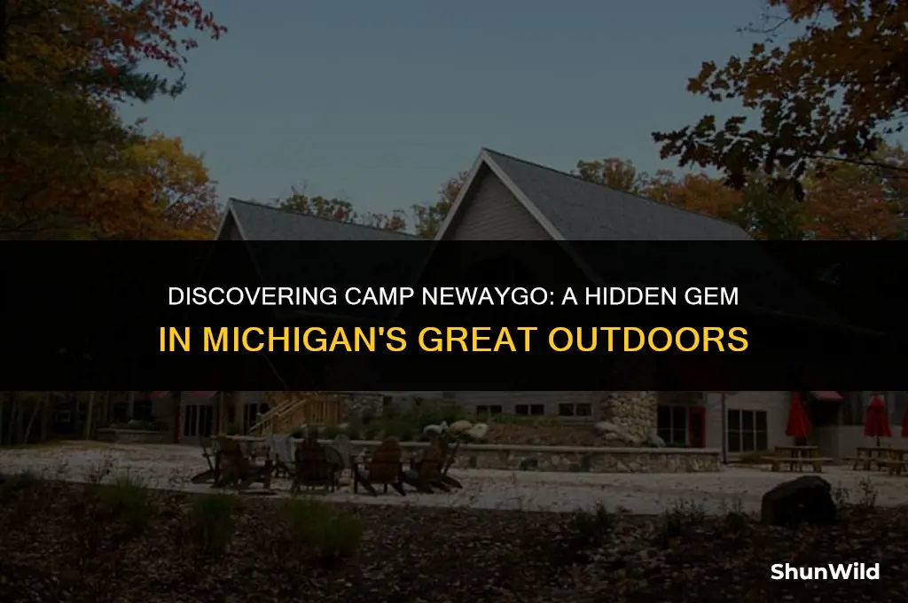 where is camp newaygo michigan